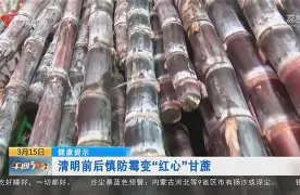 慎儿小说-爱游戏电子